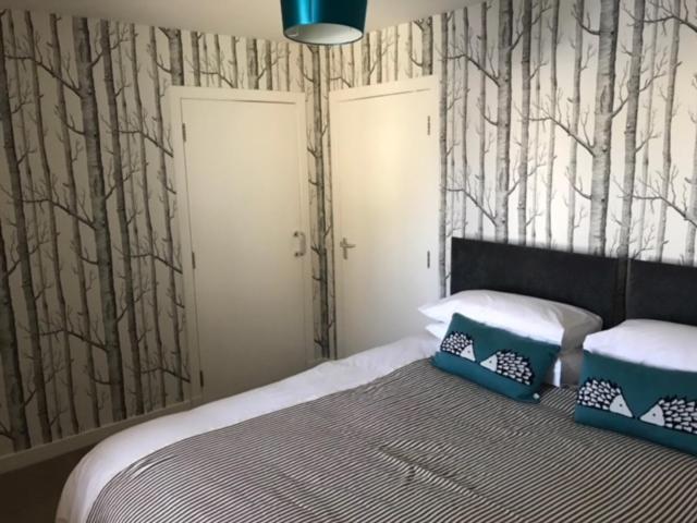 Thurso Self Catering Pet Friendly Holiday Lets Kültér fotó